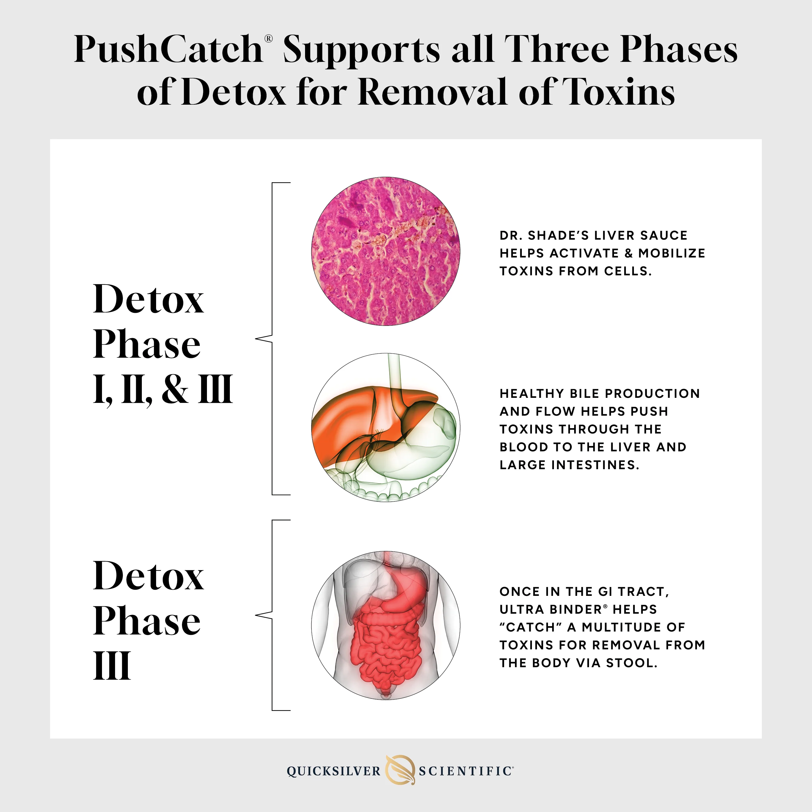 PushCatch® Liver Detox - Image 3